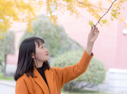 菲律宾旅游签证需要在国内哪里办理？